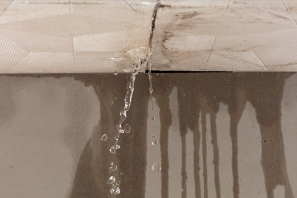 Professional Sewage Cleanup technician working in Auburn, KS